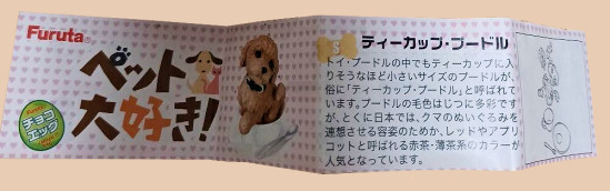 Skrytá (tajná) figurka