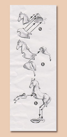 Stavebný návod - Stínovlas SE